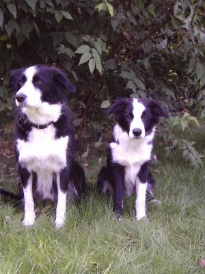 300November2006 049.jpg